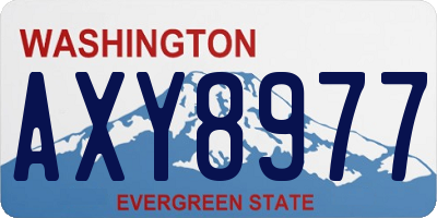 WA license plate AXY8977