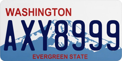 WA license plate AXY8999
