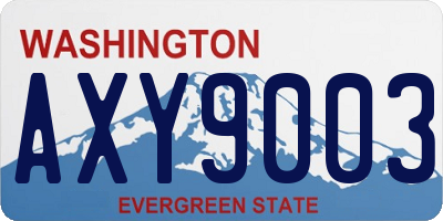 WA license plate AXY9003
