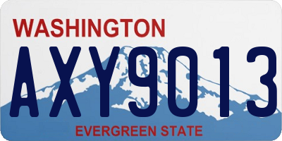 WA license plate AXY9013