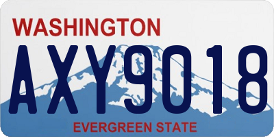 WA license plate AXY9018
