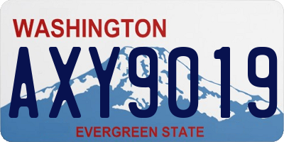 WA license plate AXY9019