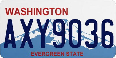WA license plate AXY9036