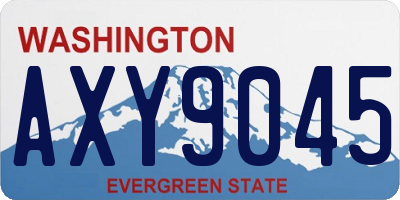WA license plate AXY9045
