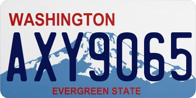 WA license plate AXY9065