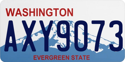 WA license plate AXY9073