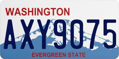 WA license plate AXY9075