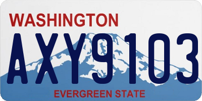 WA license plate AXY9103
