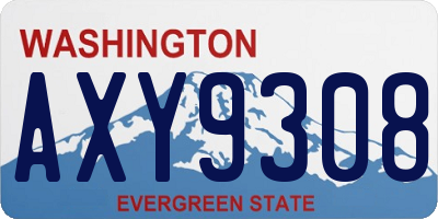 WA license plate AXY9308