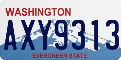 WA license plate AXY9313
