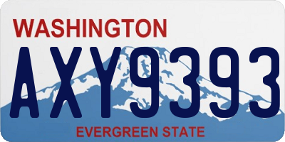 WA license plate AXY9393