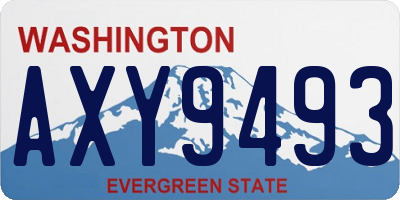 WA license plate AXY9493