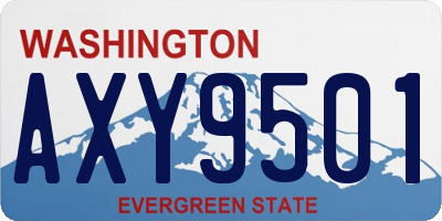 WA license plate AXY9501