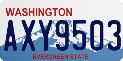 WA license plate AXY9503