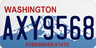 WA license plate AXY9568