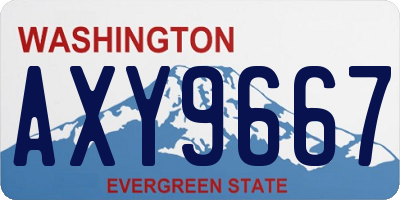 WA license plate AXY9667