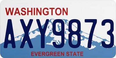WA license plate AXY9873