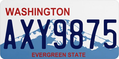 WA license plate AXY9875
