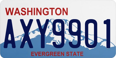WA license plate AXY9901
