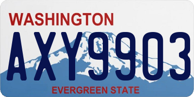 WA license plate AXY9903