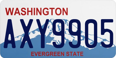 WA license plate AXY9905