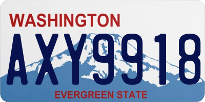 WA license plate AXY9918