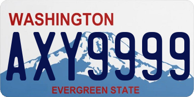 WA license plate AXY9999