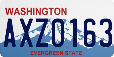 WA license plate AXZ0163