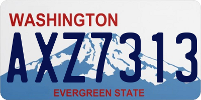 WA license plate AXZ7313