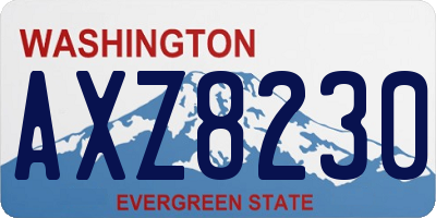 WA license plate AXZ8230