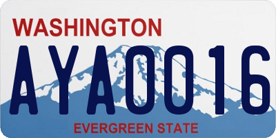 WA license plate AYA0016