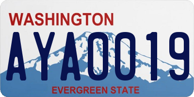 WA license plate AYA0019