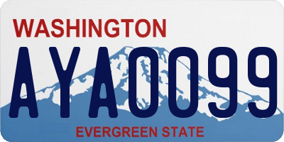 WA license plate AYA0099