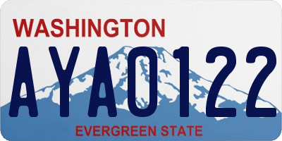 WA license plate AYA0122