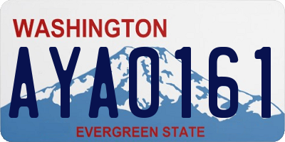 WA license plate AYA0161