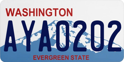 WA license plate AYA0202