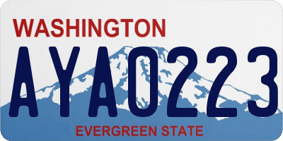 WA license plate AYA0223