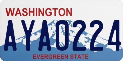 WA license plate AYA0224
