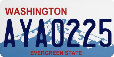 WA license plate AYA0225
