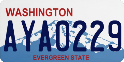 WA license plate AYA0229
