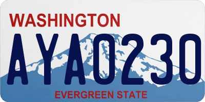 WA license plate AYA0230