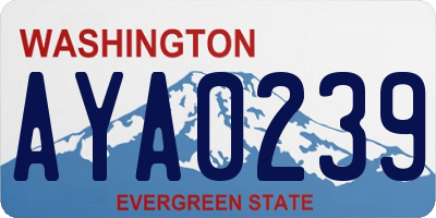WA license plate AYA0239