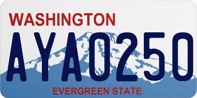 WA license plate AYA0250