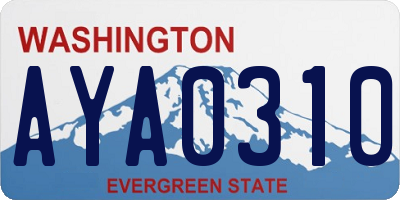 WA license plate AYA0310
