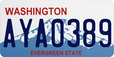 WA license plate AYA0389