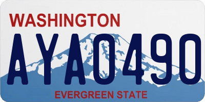 WA license plate AYA0490