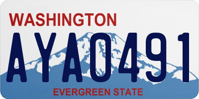 WA license plate AYA0491
