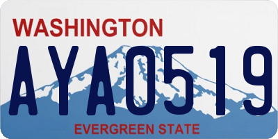WA license plate AYA0519