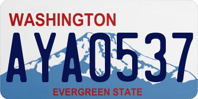 WA license plate AYA0537