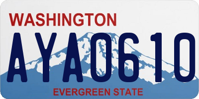 WA license plate AYA0610